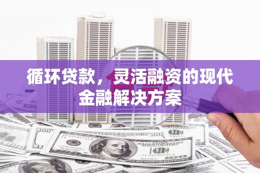 阜阳循环贷款，灵活融资的现代金融解决方案