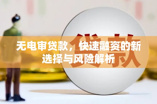 阜阳无电审贷款，快速融资的新选择与风险解析