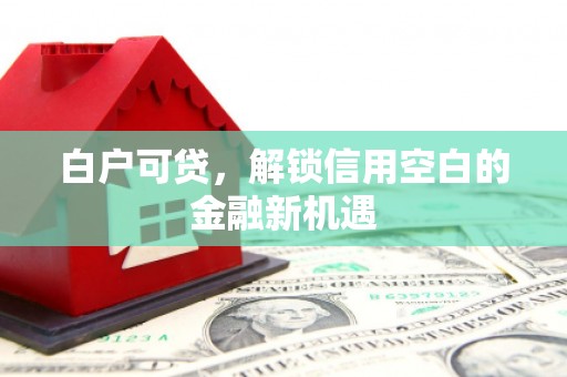 阜阳白户可贷，解锁信用空白的金融新机遇
