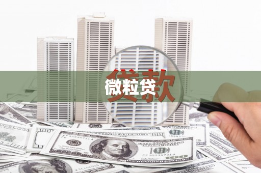 阜阳微粒贷