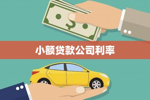 阜阳小额贷款公司利率