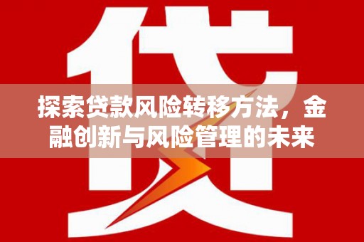 阜阳探索贷款风险转移方法，金融创新与风险管理的未来