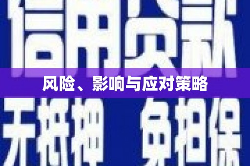 阜阳风险、影响与应对策略