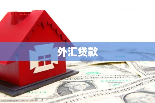 阜阳外汇贷款