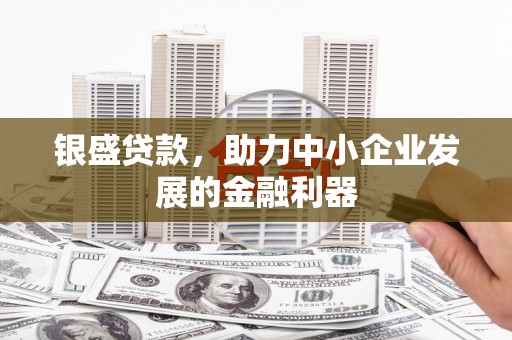 阜阳银盛贷款，助力中小企业发展的金融利器