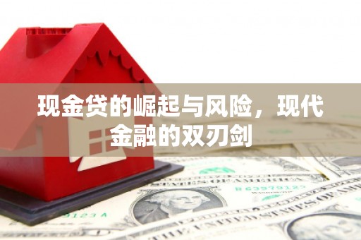 阜阳现金贷的崛起与风险，现代金融的双刃剑