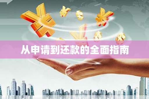 阜阳从申请到还款的全面指南