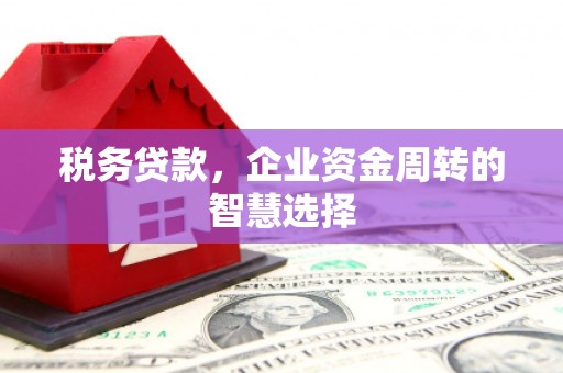阜阳税务贷款，企业资金周转的智慧选择
