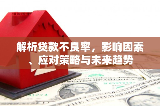 阜阳解析贷款不良率，影响因素、应对策略与未来趋势