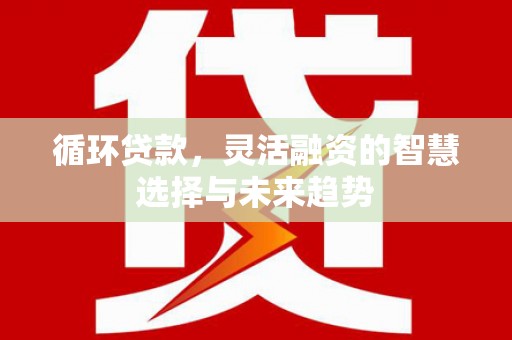 阜阳循环贷款，灵活融资的智慧选择与未来趋势