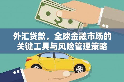阜阳外汇贷款，全球金融市场的关键工具与风险管理策略