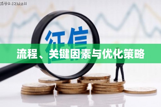 阜阳流程、关键因素与优化策略