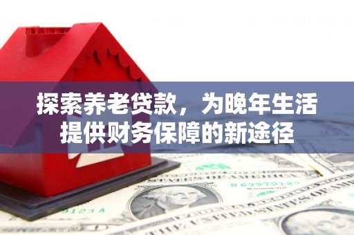 阜阳探索养老贷款，为晚年生活提供财务保障的新途径