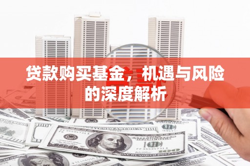 阜阳贷款购买基金，机遇与风险的深度解析