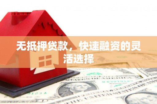 阜阳无抵押贷款，快速融资的灵活选择