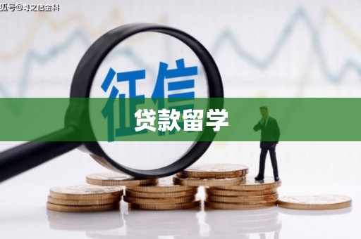 阜阳贷款留学