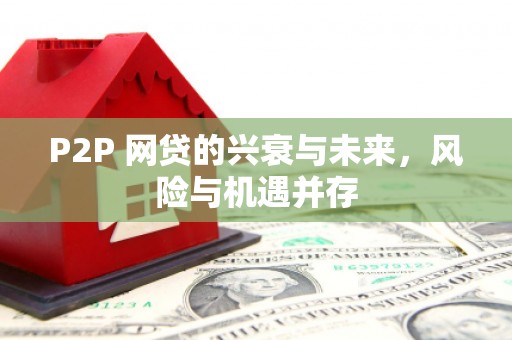 阜阳P2P 网贷的兴衰与未来，风险与机遇并存