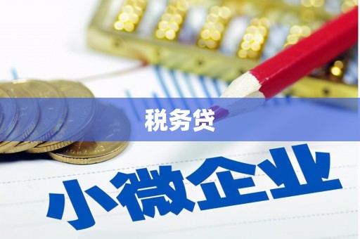 阜阳税务贷