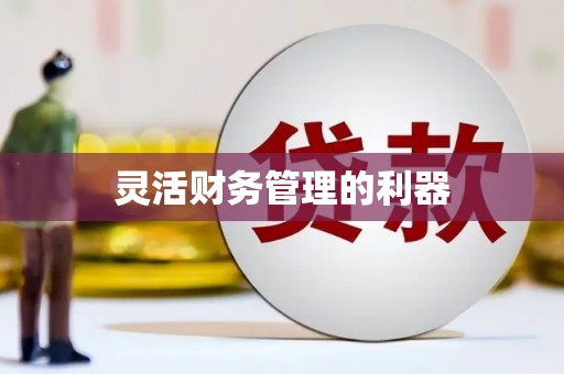 阜阳灵活财务管理的利器