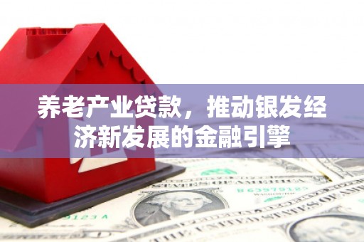 阜阳养老产业贷款，推动银发经济新发展的金融引擎