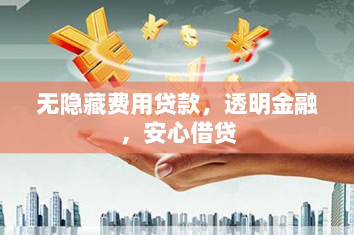 阜阳无隐藏费用贷款，透明金融，安心借贷