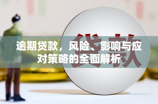 阜阳逾期贷款，风险、影响与应对策略的全面解析
