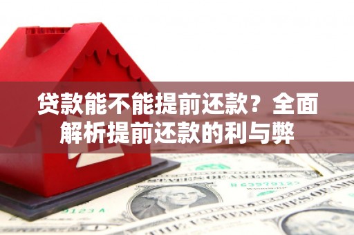 阜阳贷款能不能提前还款？全面解析提前还款的利与弊