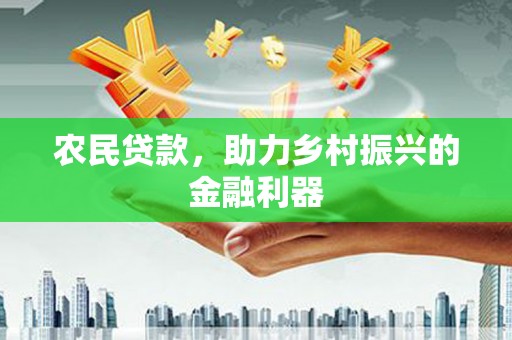 阜阳农民贷款，助力乡村振兴的金融利器