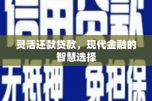 阜阳灵活还款贷款，现代金融的智慧选择