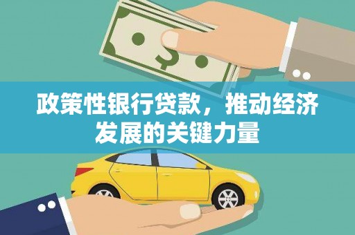 阜阳政策性银行贷款，推动经济发展的关键力量