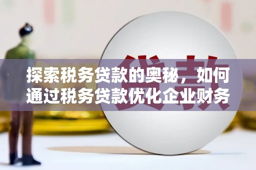 阜阳探索税务贷款的奥秘，如何通过税务贷款优化企业财务