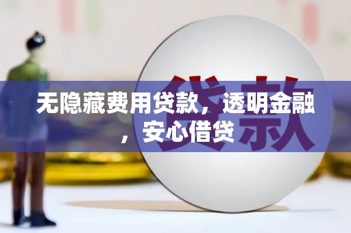 阜阳无隐藏费用贷款，透明金融，安心借贷