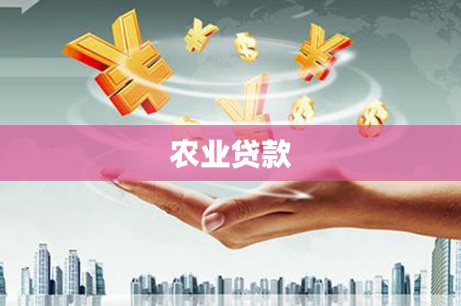 阜阳农业贷款