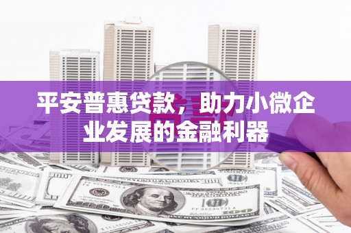 阜阳平安普惠贷款，助力小微企业发展的金融利器