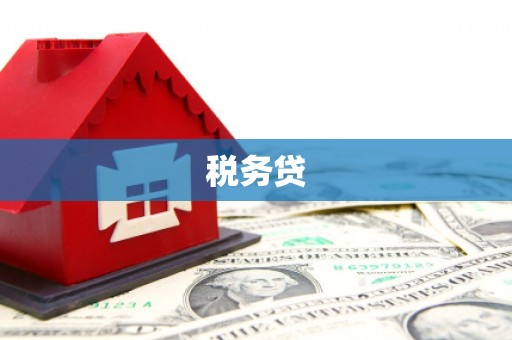 阜阳税务贷