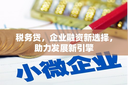 阜阳税务贷，企业融资新选择，助力发展新引擎