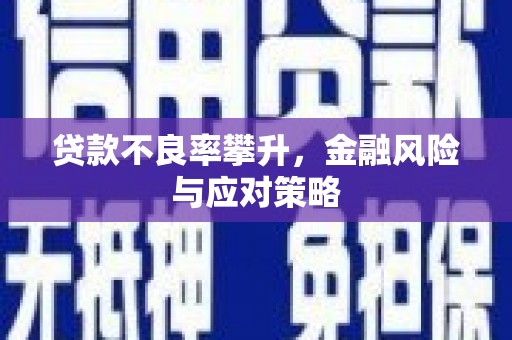 阜阳贷款不良率攀升，金融风险与应对策略