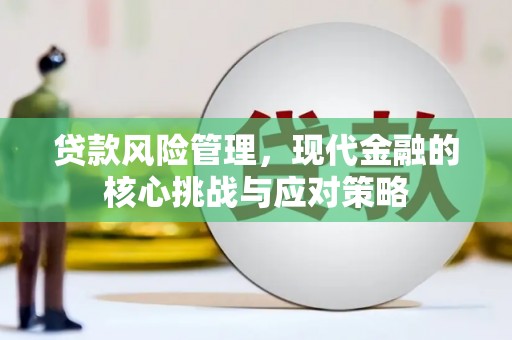 阜阳贷款风险管理，现代金融的核心挑战与应对策略
