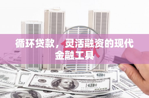 阜阳循环贷款，灵活融资的现代金融工具