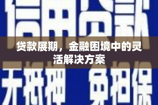 阜阳贷款展期，金融困境中的灵活解决方案