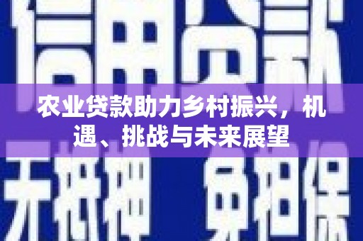 阜阳农业贷款助力乡村振兴，机遇、挑战与未来展望