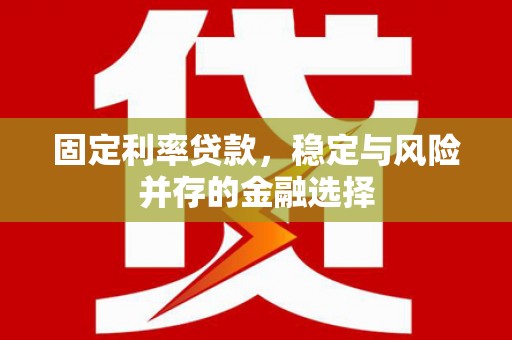 阜阳固定利率贷款，稳定与风险并存的金融选择