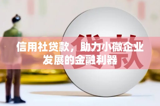 阜阳信用社贷款，助力小微企业发展的金融利器