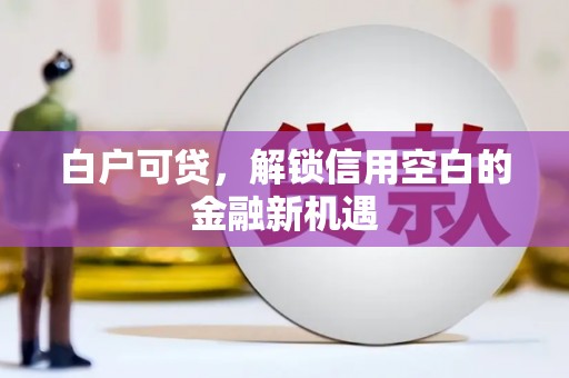 阜阳白户可贷，解锁信用空白的金融新机遇