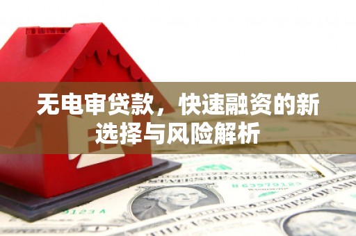 阜阳无电审贷款，快速融资的新选择与风险解析