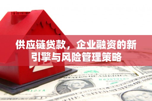 阜阳供应链贷款，企业融资的新引擎与风险管理策略