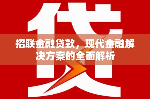 阜阳招联金融贷款，现代金融解决方案的全面解析