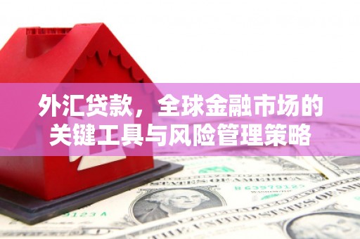 阜阳外汇贷款，全球金融市场的关键工具与风险管理策略
