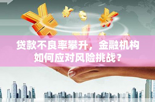 阜阳贷款不良率攀升，金融机构如何应对风险挑战？