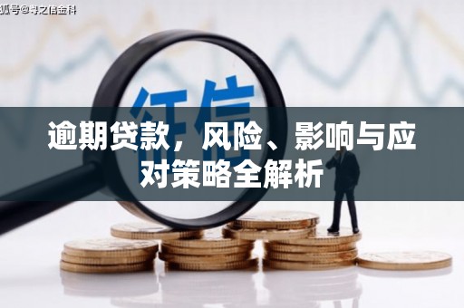 阜阳逾期贷款，风险、影响与应对策略全解析